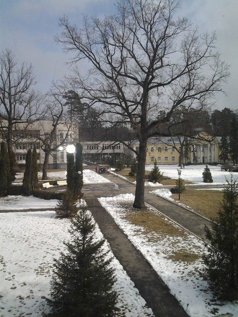 akkord-maslenitca-2015-03.jpg