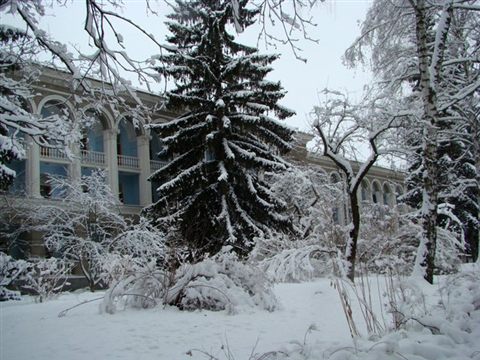 koncha-zaspa-zima-1.jpg