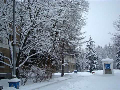 koncha-zaspa-zima-14.jpg