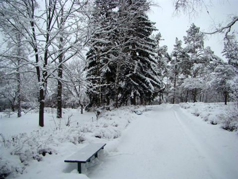 koncha-zaspa-zima-2.jpg