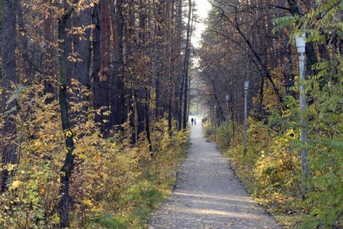 koncha-zaspa-autumn-5.jpg