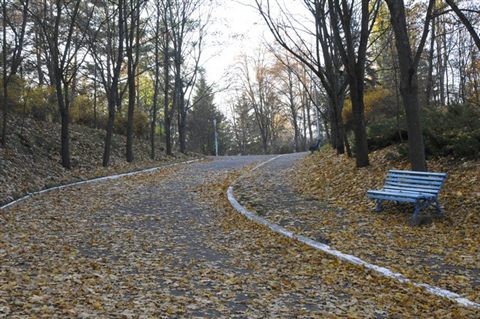 koncha-zaspa-autumn-9.jpg