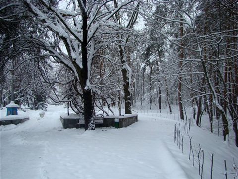 koncha-zaspa-winter-12.jpg