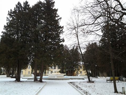 akkord-pushcha-osernaja-zima_07.jpg