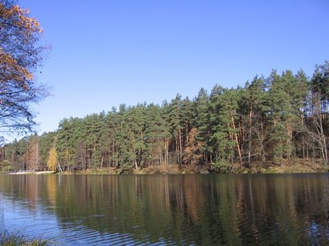 pushcha-osen-7.jpg