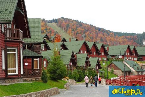 artek-tabir-lisovyi_02.jpg