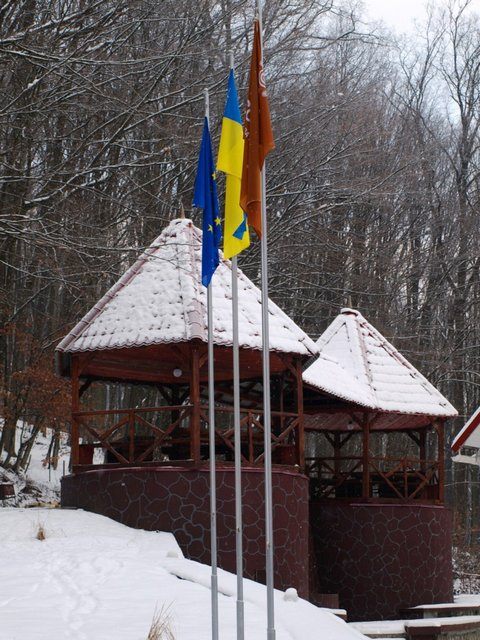 sunny-camp-winter-02.jpg