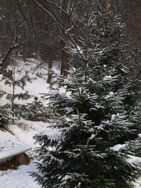 sunny-camp-winter-06.jpg