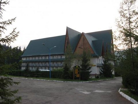 guta-01.jpg