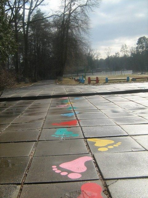 pronen-camp-9.jpg