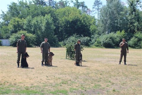 promen-camp-06.jpg