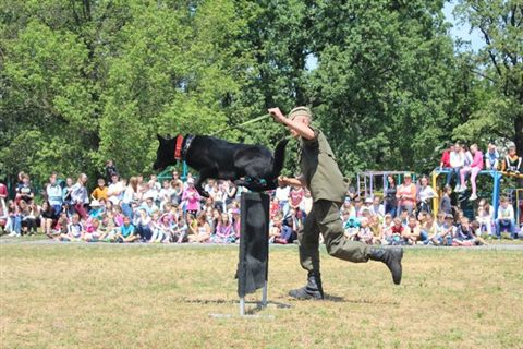promen-camp-22.jpg