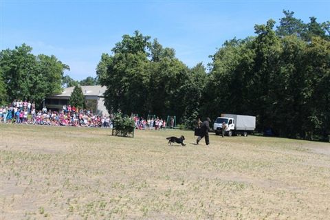 promen-camp-23.jpg