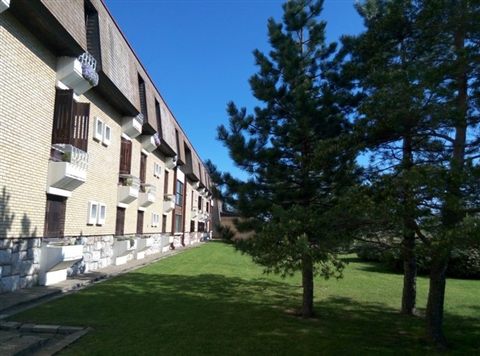 tara-camp-18.jpg