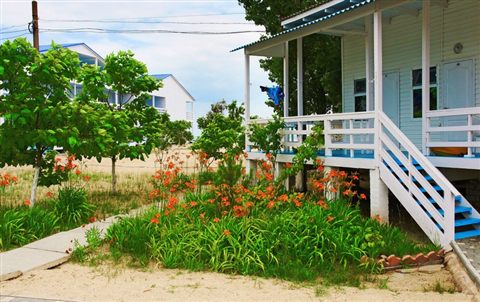 casa-blanka-06.jpg